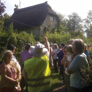 The festival includes history walks as well as purely scenic routes