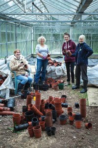 Sorting out plant pots at Greengage 