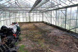 The empty greenhouse before the Greengage Project started  credit: Brian Blesse
