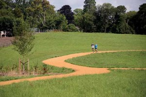 The recently laid cycle tracks are just as popular with joggers and walkers  cretit: Liz Mace Photography