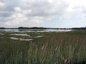 The view towards Pergins Island and Poole from the shoreline. There’s no public access to Pergins and no plans to create any. 