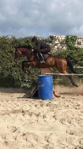Exercise at Warmwell