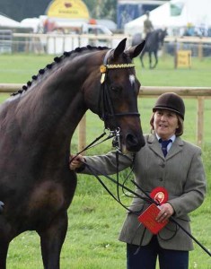 Helen Nelmes showing Wild Power at the Dorset County Show