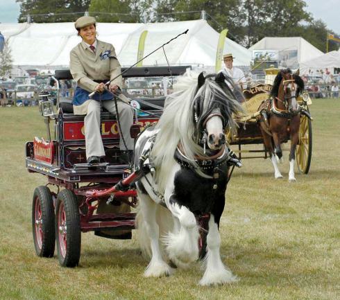 The old trade carts and wagons are always well received